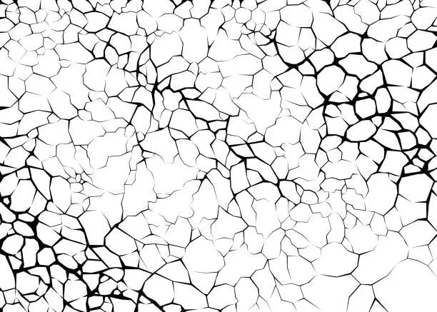 Vector illustration of Earth cracks or networks of roots on white background. Concrete wall