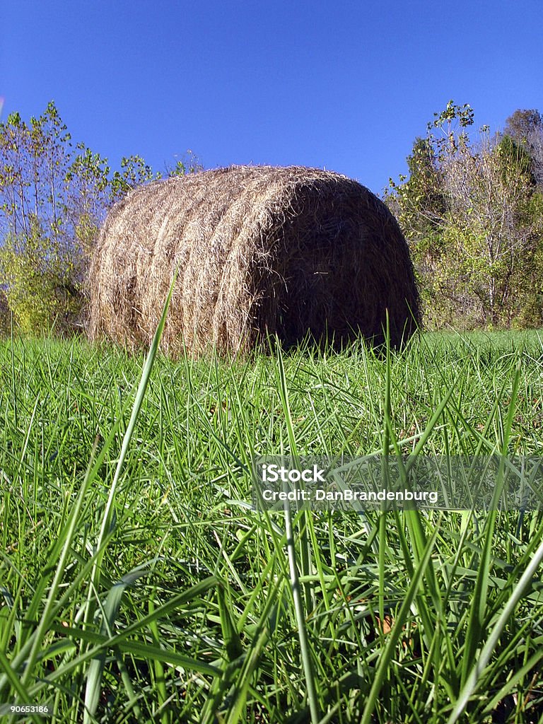 Hay sur Farm accessible en fauteuil roulant - Photo de Agriculture libre de droits