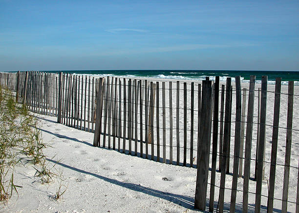 sand dune zäunen - sand sea oat grass beach sand dune stock-fotos und bilder