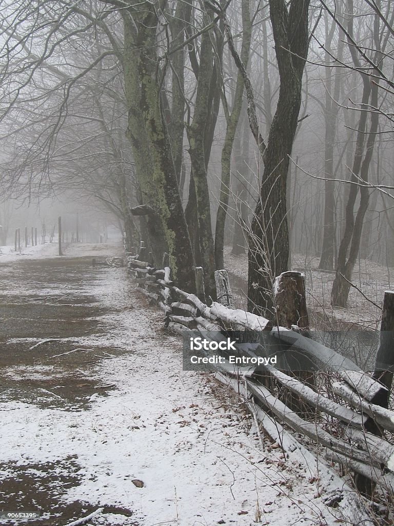 Snowy Winter Fence Line  Awe Stock Photo
