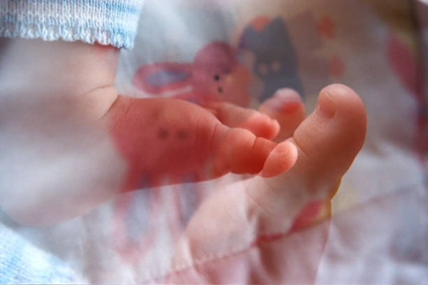 Baby Feet stock photo