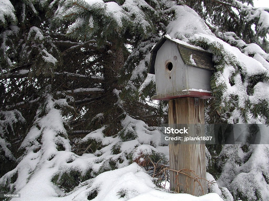 winter Vogelhäuschen - Lizenzfrei Baum Stock-Foto