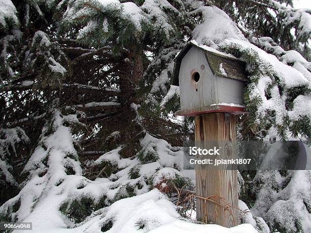 Winter Vogelhäuschen Stockfoto und mehr Bilder von Baum - Baum, Eis, Farbbild