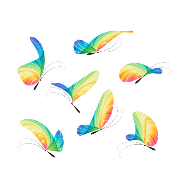 Conjunto de vector de mariposa - ilustración de arte vectorial