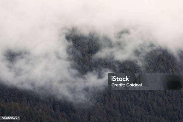 Foggy Wilderness Stock Photo - Download Image Now - Cold Temperature, Day, Fog