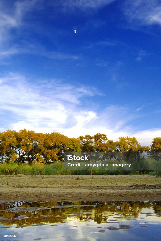 Autunno paesaggio cielo Fiume cottonwood - Foto stock royalty-free di Acqua