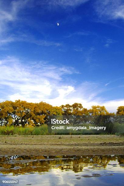 秋のcottonwood 川の風景の空 - アルバカーキーのストックフォトや画像を多数ご用意 - アルバカーキー, カラー画像, コットンウッド山脈