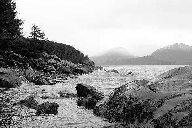 50+ Stikine River Photos Stock Photos, Pictures & RoyaltyFree Images