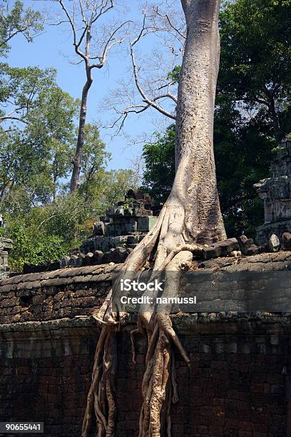 Foto de Angkor Wat Do Camboja Árvore No Ta Prohm e mais fotos de stock de Abandonado - Abandonado, Angkor, Apodrecer