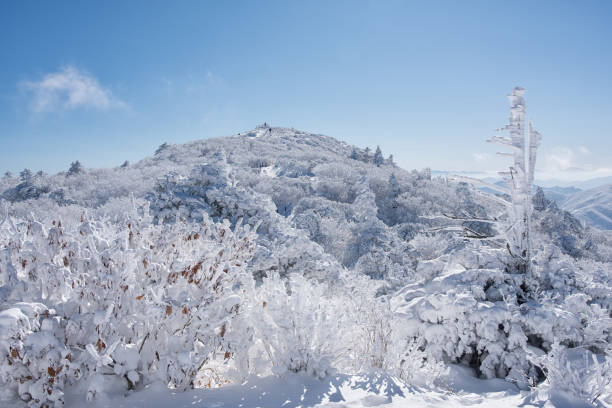istock Winter Mountain Rime Ice 906559560