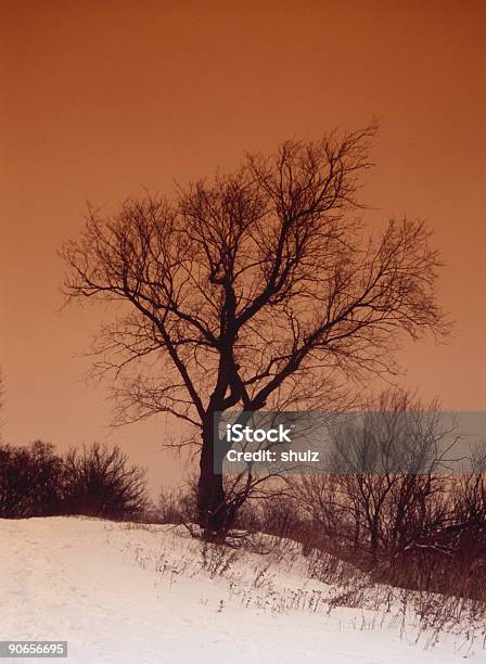 Paesaggio Invernale Di Depressione - Fotografie stock e altre immagini di Albero - Albero, Albero spoglio, Ambientazione esterna