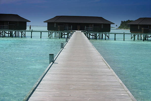 School of fish in lagoon with bungalow in the background.