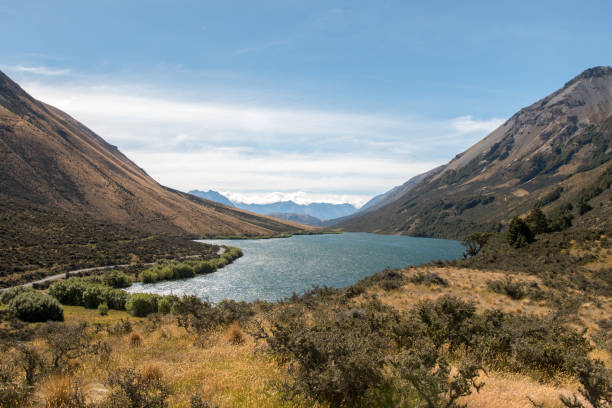 озеро selfe, саут-айленд новой зеландии - high country стоковые фото и изображения