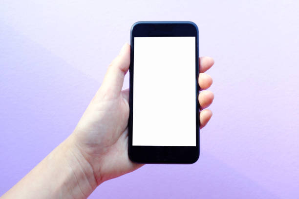 istock the smart phone holding a woman hand, blank flame 906569976