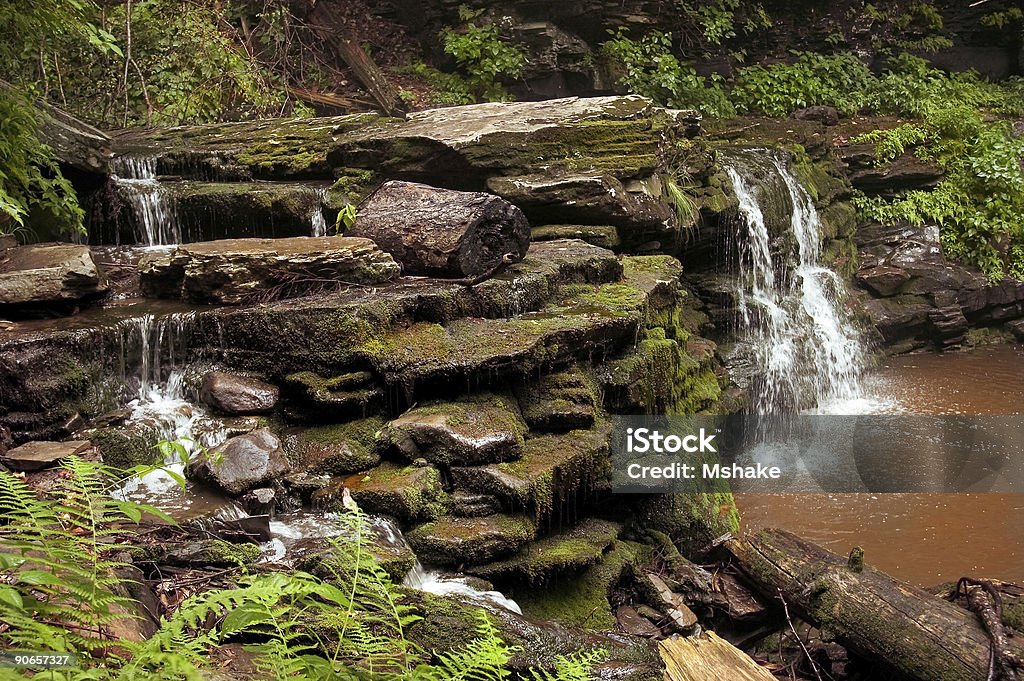 Cascata - Foto stock royalty-free di Pennsylvania