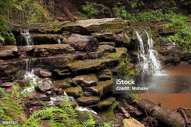 Wodospad - zdjęcia stockowe i więcej obrazów Stan Pensylwania - Stan Pensylwania, Chlapać, Dolina