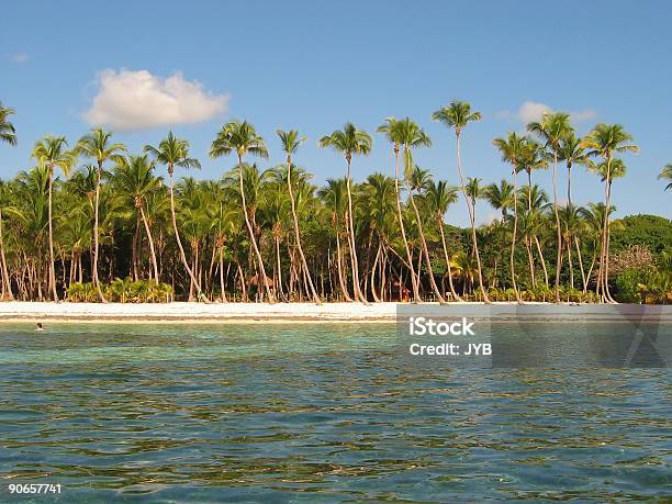 Photo libre de droit de Classique De Coconut Beach banque d'images et plus d'images libres de droit de Arbre - Arbre, Blanc, Bleu