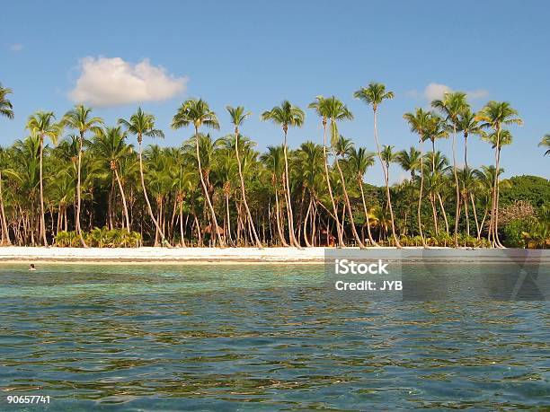 Klasyczna Coconut Beach - zdjęcia stockowe i więcej obrazów Biały - Biały, Chmura, Dać