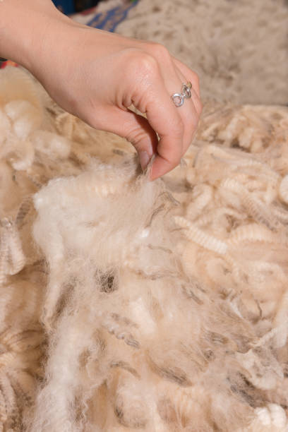 istock Merino wool in woman's hand 906578306