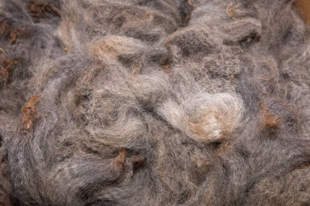 istock Pile of high quality merino wool 906578372