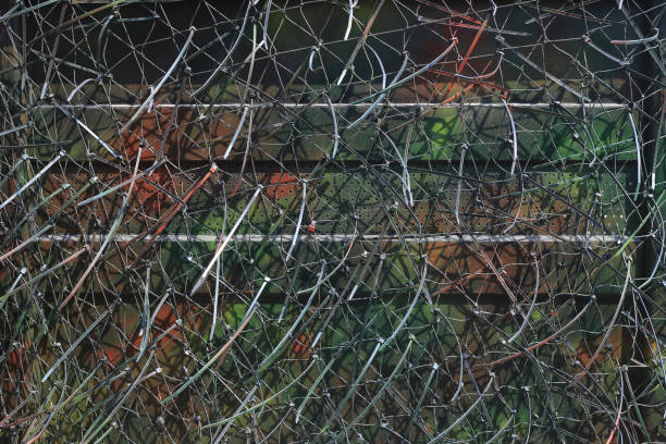 istock Camouflage net for hidding in nature 906580880