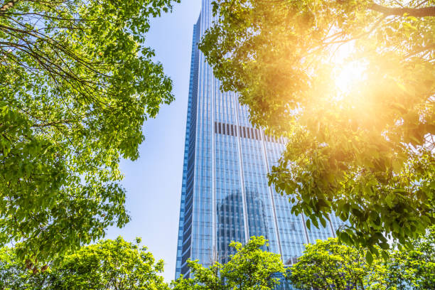 istock Details of a modern office building with green trees 906581054
