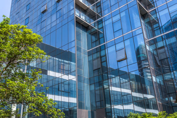 istock Details of a modern office building with a tree 906583216