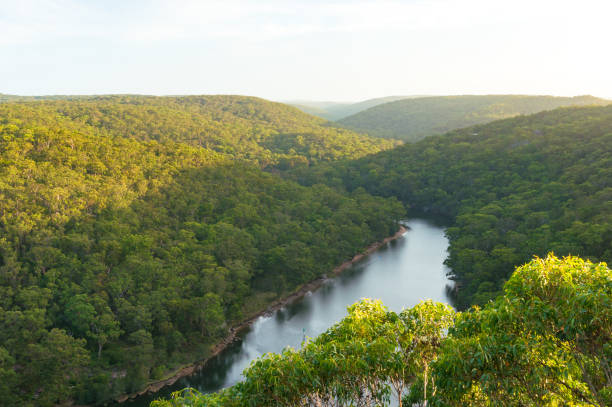 istock View from above on Royal National Park and Hacking river 906585916