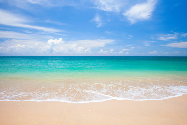 istock beach and beautiful tropical sea 906586300