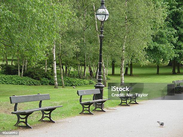 Parque Hyde Bancos - Fotografias de stock e mais imagens de Ao Ar Livre - Ao Ar Livre, Assento, Atividade Recreativa