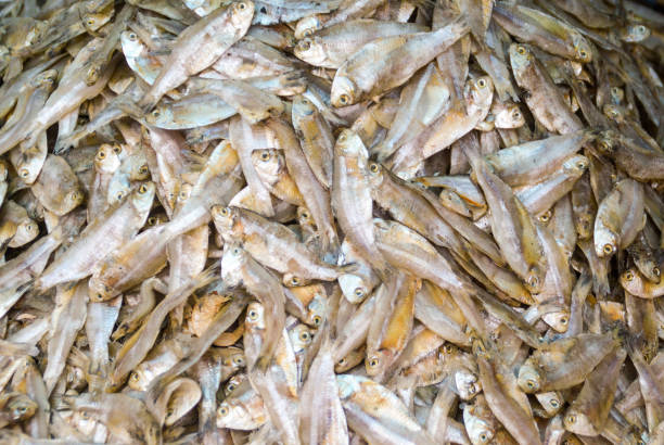 istock Dried salted fish in a market stall 906591188