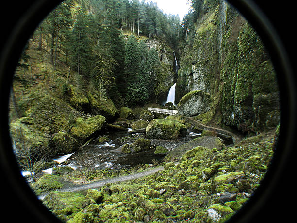 istock Wahclella Falls at a Wide Angle 90659444
