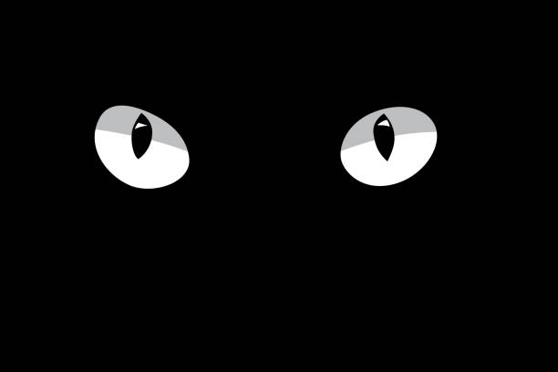 illustrations, cliparts, dessins animés et icônes de yeux de chat blancs isolés sur fond noir. élément de vecteur de conception. - shadow monster fear spooky