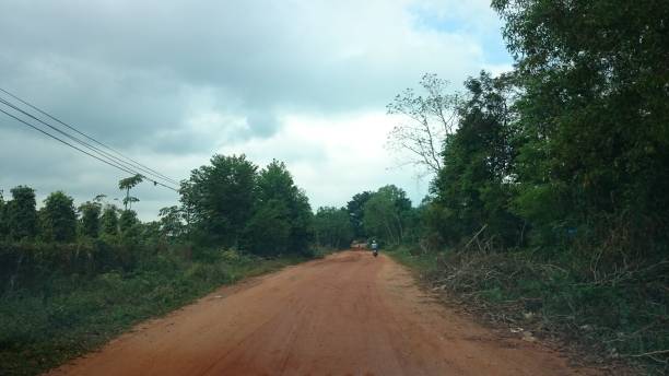 istock Street and Forest in Phu Quoc (Vietnam) 906603242