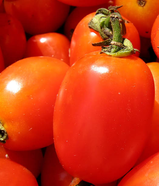 Fresco Tomates cereja - fotografia de stock