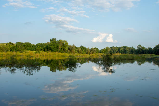 istock Lake Bank Reflection on the Lake 906605920