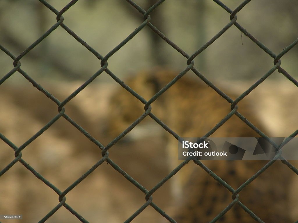 Barrera - Foto de stock de Aire libre libre de derechos