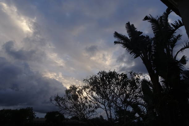 palmeras y cielo tormentoso - lightning monsoon hurricane palm tree fotografías e imágenes de stock