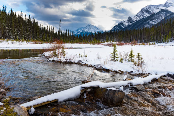 istock Snowshoeing in the mountains 906609196