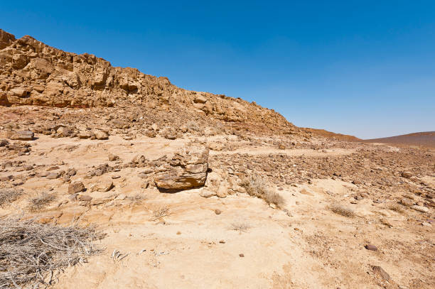istock Nature of the Middle East. 906609228
