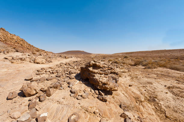 istock Nature of the Middle East. 906609260