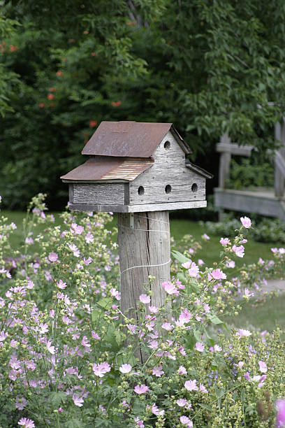 istock Bird House in Flowers 90661068