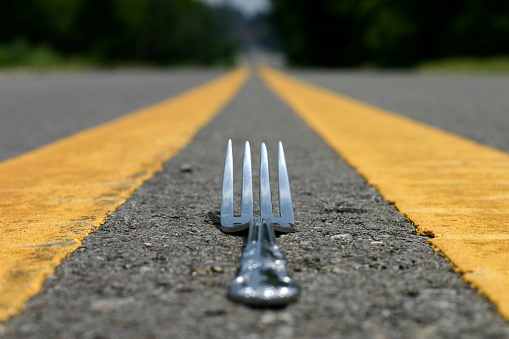 coming to a fork in the road