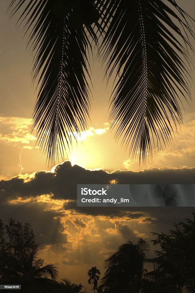 Puesta de sol Tropical scene - Foto de stock de Aire libre libre de derechos