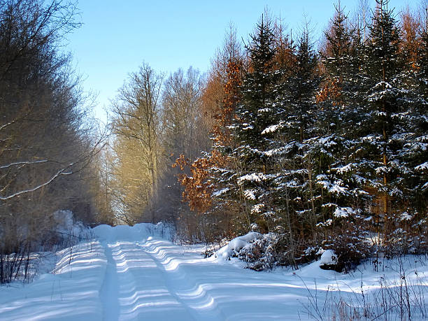 strada invernale - masuren foto e immagini stock