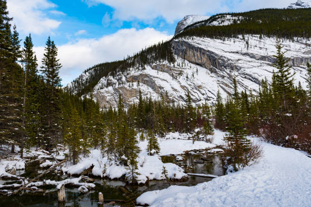 istock Snowshoeing in the mountains 906614948