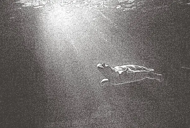 Vector illustration of Caribbean Sea Turtle swimming underwater and sunbeams