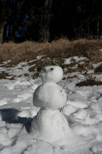 istock Funny snowman with lichen hair 906626800