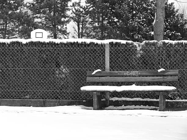 Winter's bench. stock photo