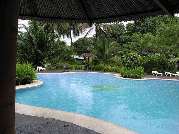 istock Swimming in the tropics 90662917